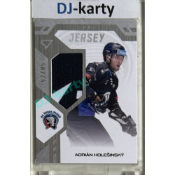 2024/25 Sportzoo ELH 1. serie #GJ-AH Adrián Holešinský Game Jersey 52/85