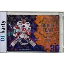 2024/25 Goal Cards Maxa liga 1. série #GT-11 David Honzík Goalie Team Parallel xx/15