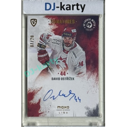 2024/25 Goal Cards Maxa liga 1. série #S-FM3 David Ostřížek Signatures xx/20