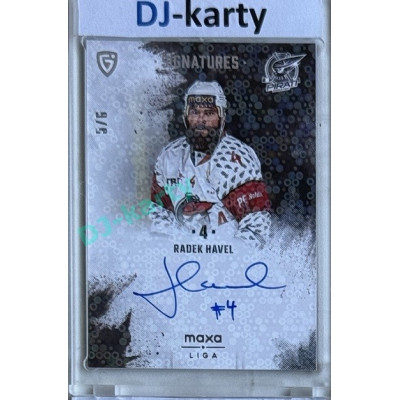 2024/25 Goal Cards Maxa liga 1. série #S-CH4 Radek Havel Signatures 5/6