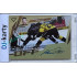 2024/25 Sportzoo ELH 2. serie #FOS-DK Davie Daše Face-Off Auto xx/65