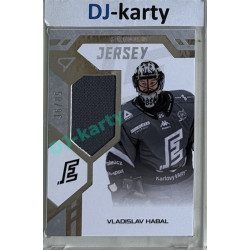 2024/25 Sportzoo ELH 2. serie #GJ-VH Vladislav Habal Game Jersey 36/85