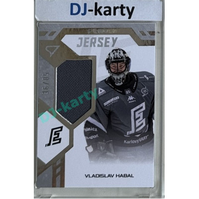 2024/25 Sportzoo ELH 2. serie #GJ-VH Vladislav Habal Game Jersey 36/85