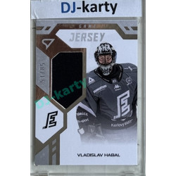 2024/25 Sportzoo ELH 2. serie #GJ-VH Vladislav Habal Game Jersey 51/85