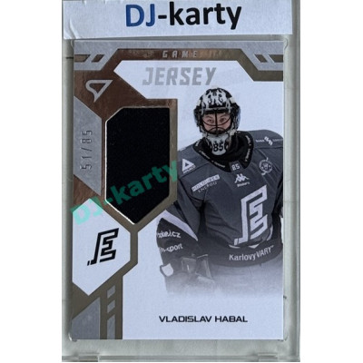 2024/25 Sportzoo ELH 2. serie #GJ-VH Vladislav Habal Game Jersey 51/85
