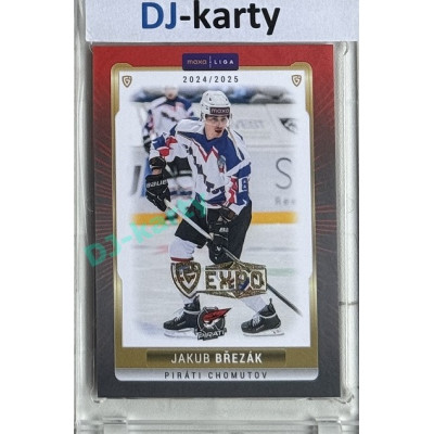 2024/25 Goal Cards Maxa liga 1. série #CHOM-04 Jakub Březák Parallel Expo Gold 1of4