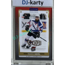 2024/25 Goal Cards Maxa liga 1. série #CHOM-10 Radek Havel Parallel Expo Gold 1of4