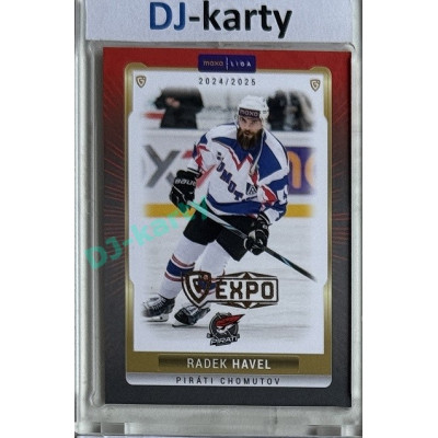 2024/25 Goal Cards Maxa liga 1. série #CHOM-10 Radek Havel Parallel Expo Gold 1of4
