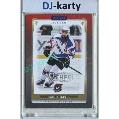 2024/25 Goal Cards Maxa liga 1. série #CHOM-10 Radek Havel Parallel Expo Silver 1of4