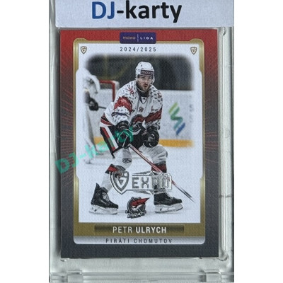 2024/25 Goal Cards Maxa liga 1. série #CHOM-09 Petr Ulrych Parallel Expo Silver 1of4