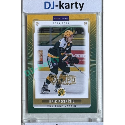 2024/25 Goal Cards Maxa liga 1. série #VSE-24 Erik Pospíšil Parallel Expo Gold 1of4