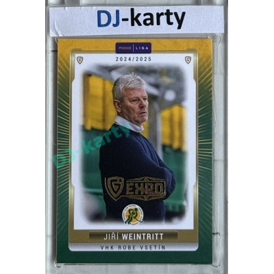 2024/25 Goal Cards Maxa liga 1. série #VSE-26 Jiří Weintritt Parallel Expo Gold 1of4