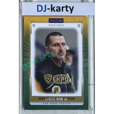 2024/25 Goal Cards Maxa liga 1. série #VSE-27 Luboš Rob st. Parallel Expo Gold 1of4
