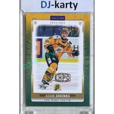 2024/25 Goal Cards Maxa liga 1. série #VSE-10 Adam Srdínko Parallel Expo Gold 1of4