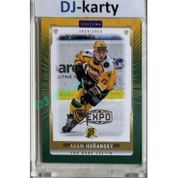 2024/25 Goal Cards Maxa liga 1. série #VSE-21 Adam Hořanský Parallel Expo Silver 1of4