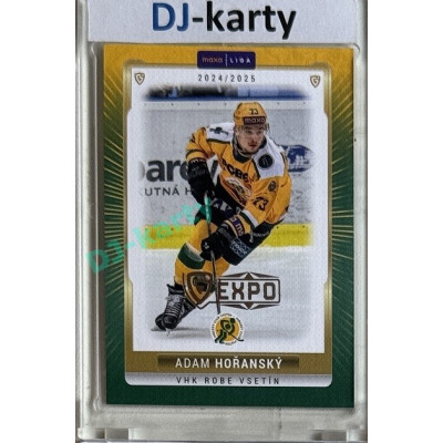 2024/25 Goal Cards Maxa liga 1. série #VSE-21 Adam Hořanský Parallel Expo Silver 1of4