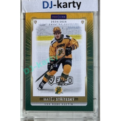 2024/25 Goal Cards Maxa liga 1. série #VSE-04 Matěj Stříteský Parallel Expo Silver 1of4