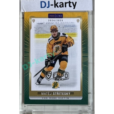 2024/25 Goal Cards Maxa liga 1. série #VSE-04 Matěj Stříteský Parallel Expo Silver 1of4