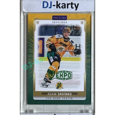 2024/25 Goal Cards Maxa liga 1. série #VSE-10 Adam Srdínko Parallel Expo Green 1of2