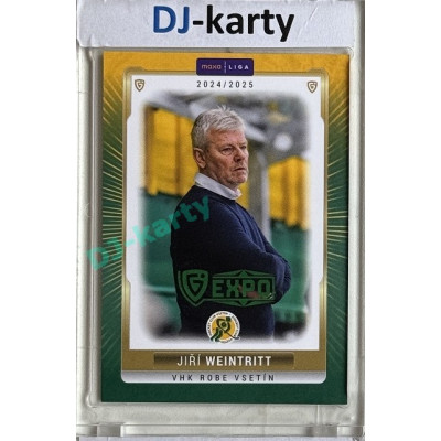 2024/25 Goal Cards Maxa liga 1. série #VSE-26 Jiří Weintritt Parallel Expo Green 1of2