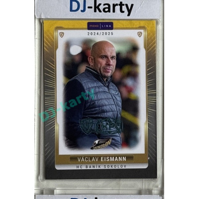 2024/25 Goal Cards Maxa liga 1. série #SOK-24 Václav Eismann Parallel Expo Blue 1of2