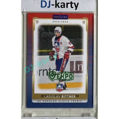 2024/25 Goal Cards Maxa liga 1. série #TRE-15 Ladislav Bittner Parallel Expo Green 1of2