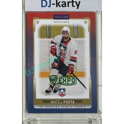2024/25 Goal Cards Maxa liga 1. série #TRE-23 Matěj Psota Parallel Expo Green 1of2