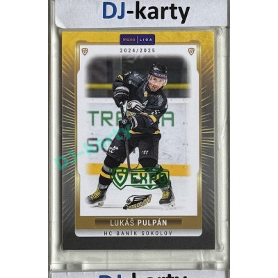2024/25 Goal Cards Maxa liga 1. série #SOK-09 Lukáš Pulpán Parallel Expo Green 1of2