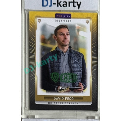 2024/25 Goal Cards Maxa liga 1. série #SOK-26 David Fečo Parallel Expo Green 1of2