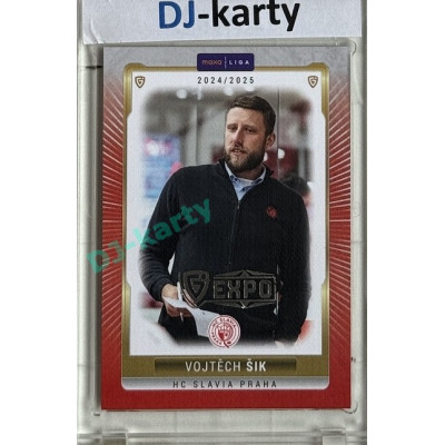 2024/25 Goal Cards Maxa liga 1. série #SLA-26 Vojtěch Šik Parallel Expo Silver 1of4