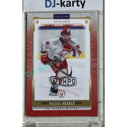 2024/25 Goal Cards Maxa liga 1. série #FMI-14 Radek Veselý Parallel Expo Silver 1of4