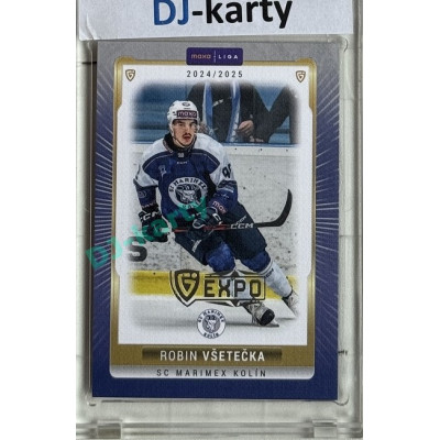 2024/25 Goal Cards Maxa liga 1. série #KOL-16 Robin Všetečka Parallel Expo Silver 1of4