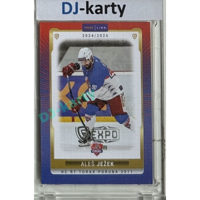 2024/25 Goal Cards Maxa liga 1. série #POR-08 Aleš Ježek Parallel Expo Silver 1of4