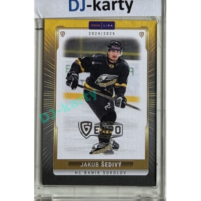 2024/25 Goal Cards Maxa liga 1. série #SOK-05 Jakub Šedivý Parallel Expo Silver 1of4