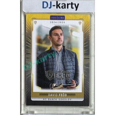 2024/25 Goal Cards Maxa liga 1. série #SOK-26 David Fečo Parallel Expo Silver 1of4