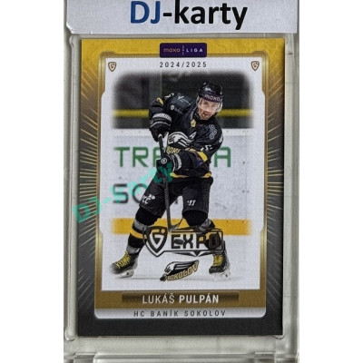 2024/25 Goal Cards Maxa liga 1. série #SOK-09 Lukáš Pulpán Parallel Expo Silver 1of4