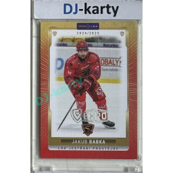 2024/25 Goal Cards Maxa liga 1. série #PRO-07 Jakub Babka Parallel Expo Silver 1of4