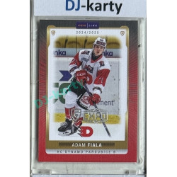 2024/25 Goal Cards Maxa liga 1. série #PCE-15 Adam Fiala Parallel Expo Silver 1of4