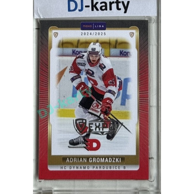 2024/25 Goal Cards Maxa liga 1. série #PCE-20 Adrian Gromadzki Parallel Expo Silver 1of4