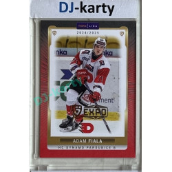 2024/25 Goal Cards Maxa liga 1. série #PCE-15 Adam Fiala Parallel Expo Gold 1of4