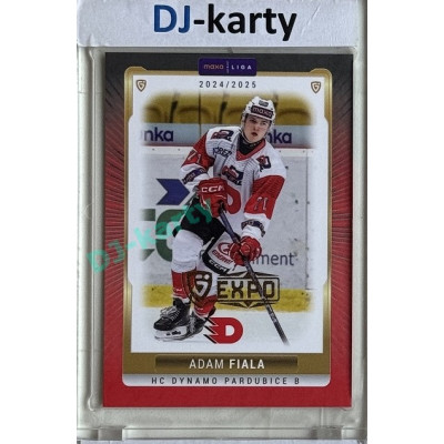 2024/25 Goal Cards Maxa liga 1. série #PCE-15 Adam Fiala Parallel Expo Gold 1of4