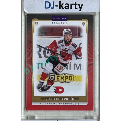 2024/25 Goal Cards Maxa liga 1. série #PCE-07 Vojtěch Tvrdík Parallel Expo Gold 1of4