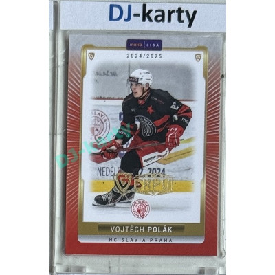 2024/25 Goal Cards Maxa liga 1. série #SLA-19 Vojtěch Polák Parallel Expo Gold 1of4