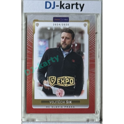 2024/25 Goal Cards Maxa liga 1. série #SLA-26 Vojtěch Šik Parallel Expo Gold 1of4