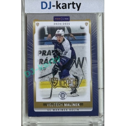 2024/25 Goal Cards Maxa liga 1. série #KOL-20 Vojtěch Malínek Parallel Expo Gold 1of4