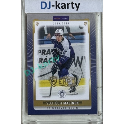 2024/25 Goal Cards Maxa liga 1. série #KOL-20 Vojtěch Malínek Parallel Expo Gold 1of4