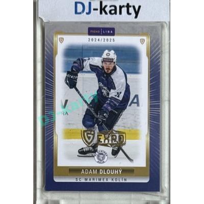 2024/25 Goal Cards Maxa liga 1. série #KOL-13 Adam Dlouhý Parallel Expo Gold 1of4