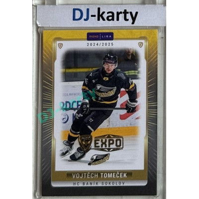2024/25 Goal Cards Maxa liga 1. série #SOK-11 Vojtěch Tomeček Parallel Expo Gold 1of4