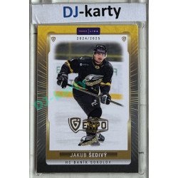 2024/25 Goal Cards Maxa liga 1. série #SOK-05 Jakub Šedivý Parallel Expo Gold 1of4