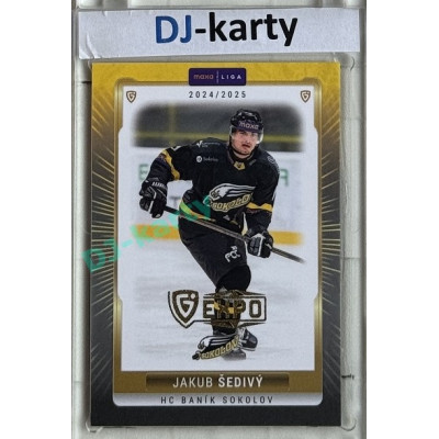 2024/25 Goal Cards Maxa liga 1. série #SOK-05 Jakub Šedivý Parallel Expo Gold 1of4